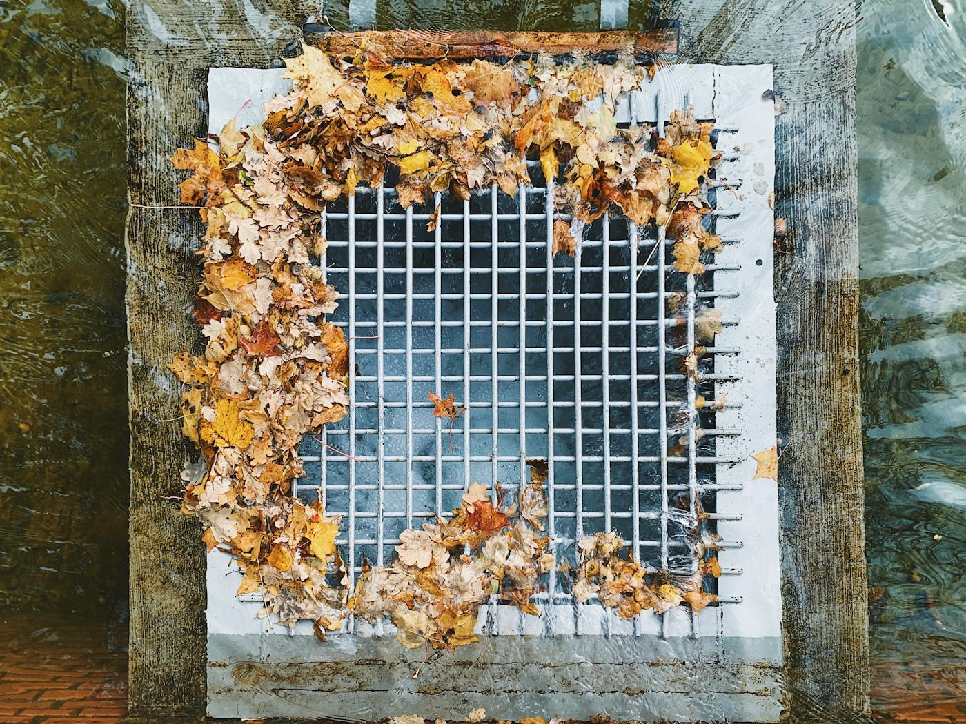Autumn leaves collected on a metal grate showing the debris that clogs gutters in Passaic NJ
