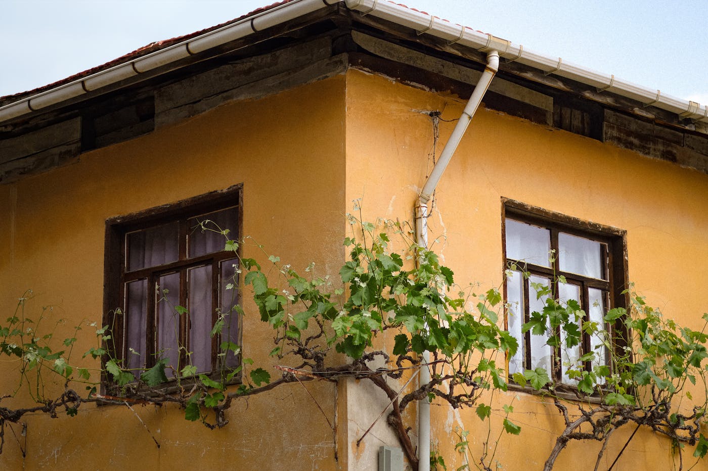 Rustic house with visible roofline and eaves where gutter guard installation would be applied